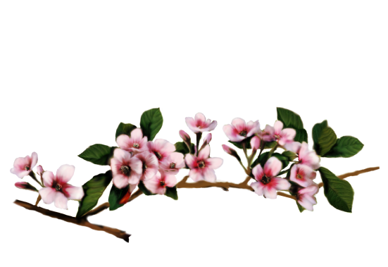 Spring Flowers, Autumn Leaves, Grapes Cherry Blossoms Artwork