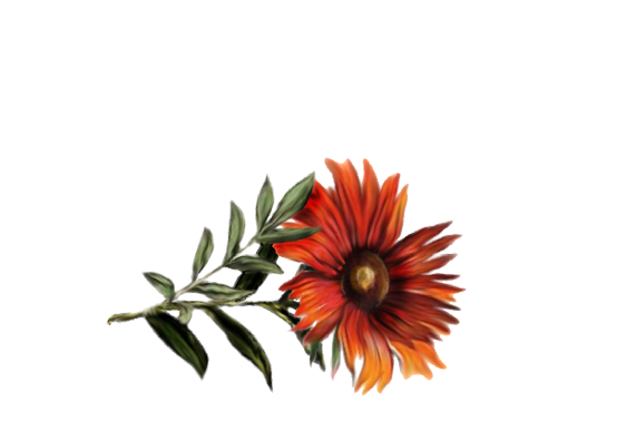 Spring Flowers, Autumn Leaves, Grapes Gerbera Daisy (orange) Artwork