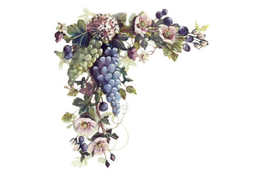 Spring Flowers, Autumn Leaves, Grapes Green and Blue Grapes Artwork