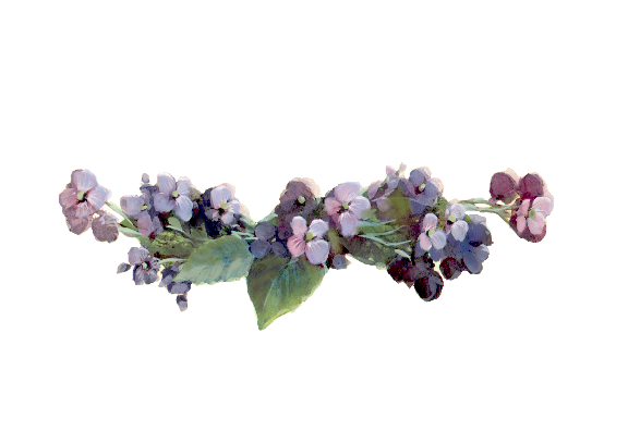 Spring Flowers, Autumn Leaves, Grapes Hydrangea Flourish Flower Painting Illustration Artwork