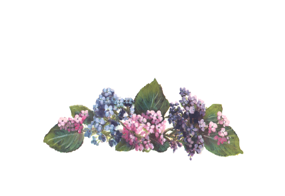 Spring Flowers, Autumn Leaves, Grapes Hydrangeas Artwork