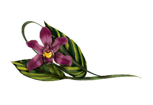 Spring Flowers, Autumn Leaves, Grapes Laelia Violet Orchid Artwork
