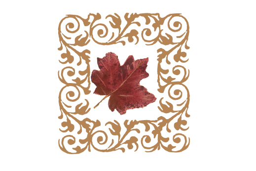 Spring Flowers, Autumn Leaves, Grapes Leaf Flourish 05 Artwork