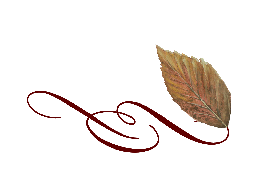 Spring Flowers, Autumn Leaves, Grapes Leaf Flourish 12 Artwork