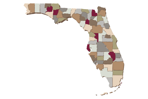 Cultural Illustrations Map of Florida Artwork