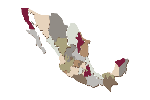 Cultural Illustrations Map of Mexico Artwork