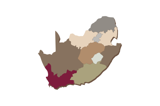 Cultural Illustrations Map of South Africa Artwork