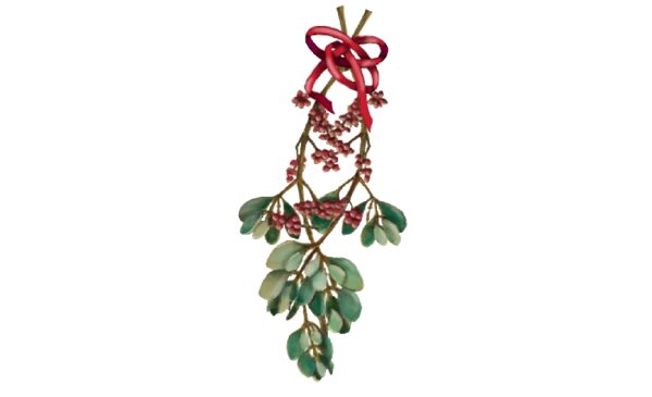 Winter and Holiday Mistletoe Artwork