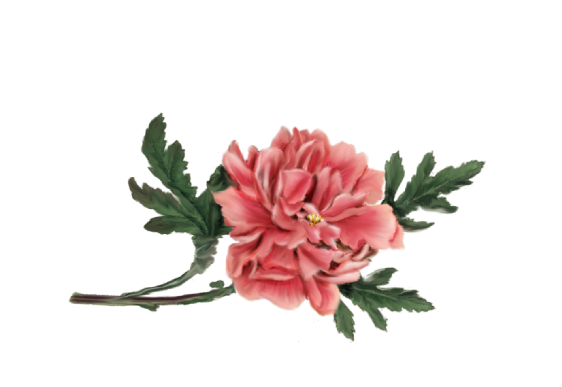 Spring Flowers, Autumn Leaves, Grapes Peony (pink) Artwork