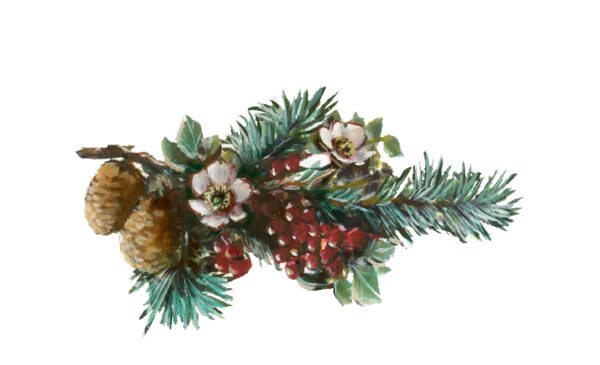 Winter and Holiday Pine Boughs Artwork