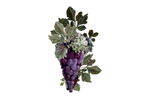 Spring Flowers, Autumn Leaves, Grapes Purple Grapes Artwork