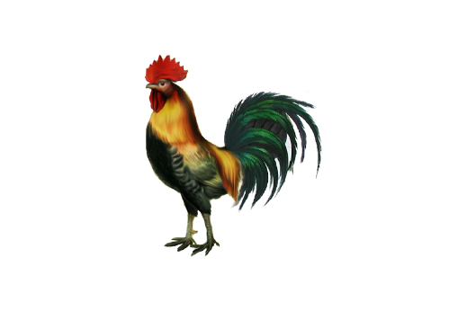 Spring Flowers, Autumn Leaves, Grapes Rooster Artwork