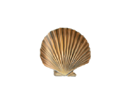 Seashells, Fish, and Beach Royal Cloak Scallop Shell Artwork