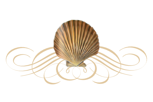 Seashells, Fish, and Beach Seashell Flourish 03 Artwork