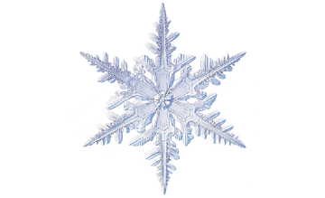 Winter and Holiday Snowflake 06 Artwork