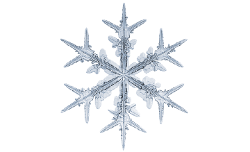 Winter and Holiday Snowflake 11 Artwork