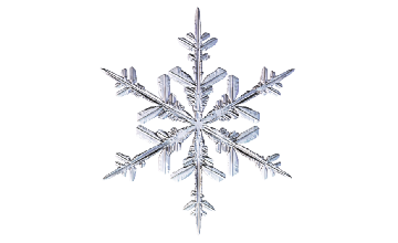 Winter and Holiday Snowflake 21 Artwork