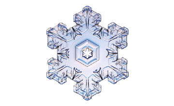 Winter and Holiday Snowflake 24 Artwork