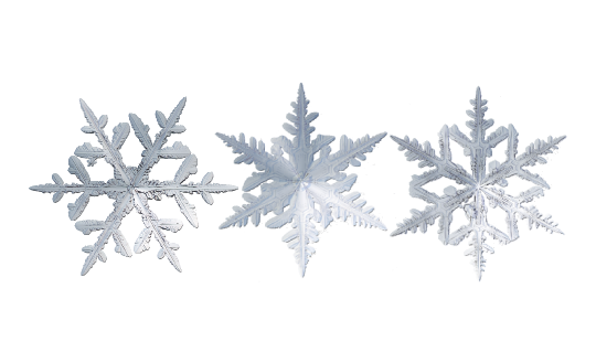 Winter and Holiday Snowflake Pattern 01 Artwork