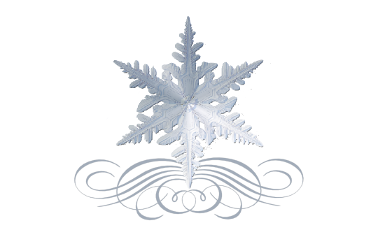 Winter and Holiday Snowflake Pattern 09 Artwork