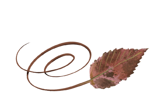 Spring Flowers, Autumn Leaves, Grapes Swirly Ironwood Leaf Artwork