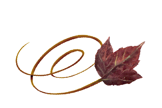 Spring Flowers, Autumn Leaves, Grapes Swirly Poplar Leaf Artwork