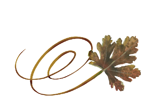 Spring Flowers, Autumn Leaves, Grapes Swirly River Birch Leaf Artwork