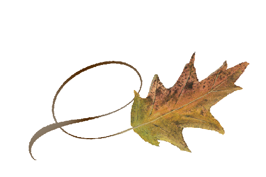 Spring Flowers, Autumn Leaves, Grapes Twisty Cypress Leaf Artwork