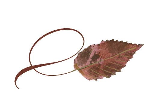 Spring Flowers, Autumn Leaves, Grapes Twisty Ironwood Leaf Artwork