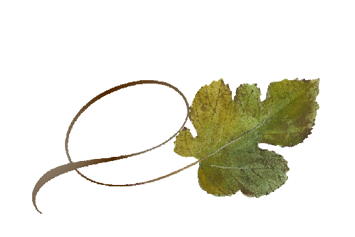 Spring Flowers, Autumn Leaves, Grapes Twisty Mulberry Leaf Artwork