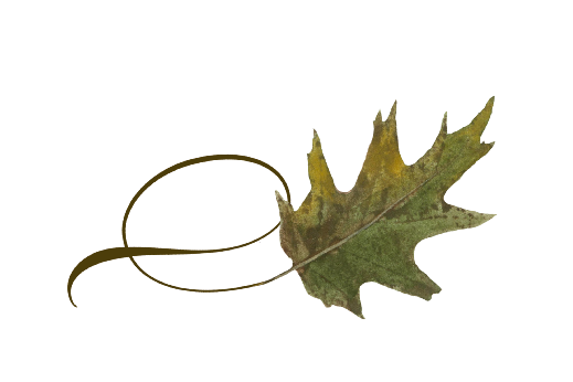 Spring Flowers, Autumn Leaves, Grapes Twisty Oak Leaf Artwork