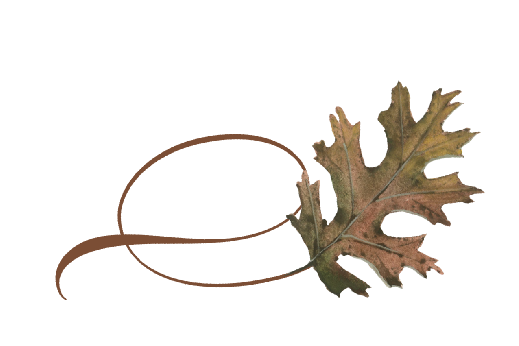 Spring Flowers, Autumn Leaves, Grapes Twisty Pin Oak Leaf Artwork