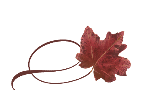 Spring Flowers, Autumn Leaves, Grapes Twisty Red Maple Leaf Artwork