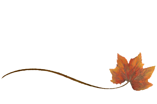 Spring Flowers, Autumn Leaves, Grapes Wispy Rock Maple Leaf Artwork