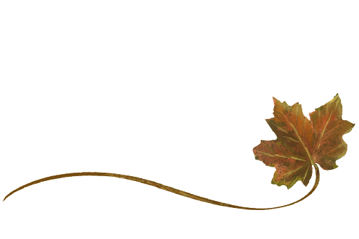 Spring Flowers, Autumn Leaves, Grapes Wispy Sugar Maple Leaf Artwork