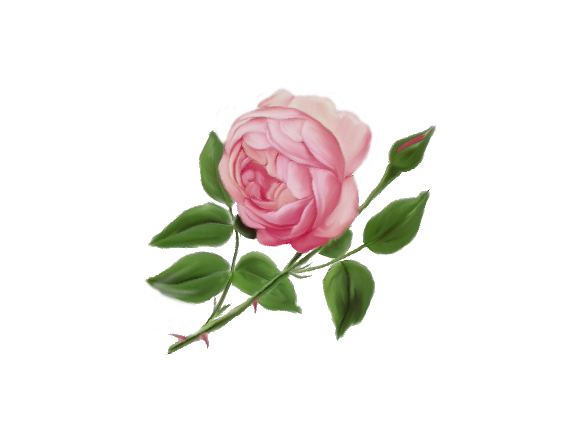 Flowers, Roses, and Rosebuds Custom Wedding Reception Stationery