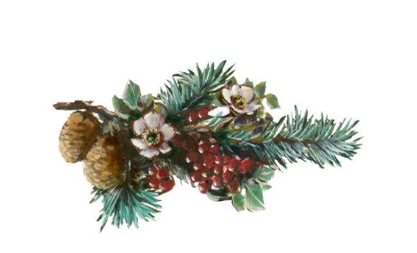 christmas winter and holiday wedding illustrations and christmas winter and holiday wedding illustrations and
