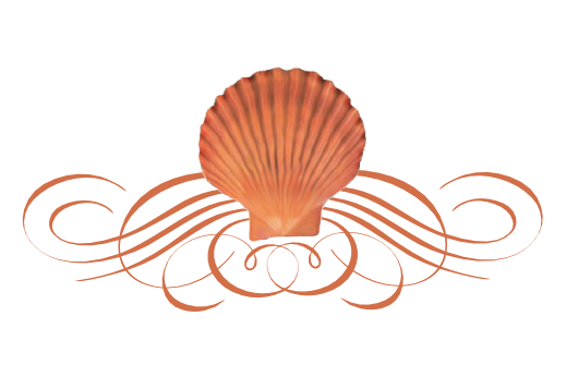 seashell flourishes documents and designs baptism place cards