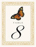 Monarch Butterfly Birds and Butterflies Table Numbers