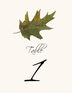 Colorful Leaves Assortment 02 Autumn and Fall Leaves Table Numbers