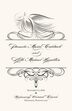 Nighthawk Flourish Birds Birds and Butterflies Wedding Programs