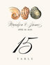 Seashell Pattern 01 Beach and Seashell Table Numbers