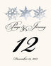 Snowflake Pattern 01 Winter, Snowflake, and Holiday Table Numbers