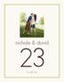 Springtime Fancy Photo Wedding Table Numbers