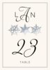 Snowflake Pattern Winter, Snowflake, and Holiday Table Numbers