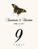 Butterfly Assortment  Table Numbers