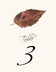 Colorful Leaves Assortment 02  Table Numbers