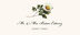 Daisy  Place Cards
