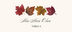 Leaf Pattern Assortment  Place Cards
