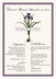 Iris Bulb  Wedding Menus